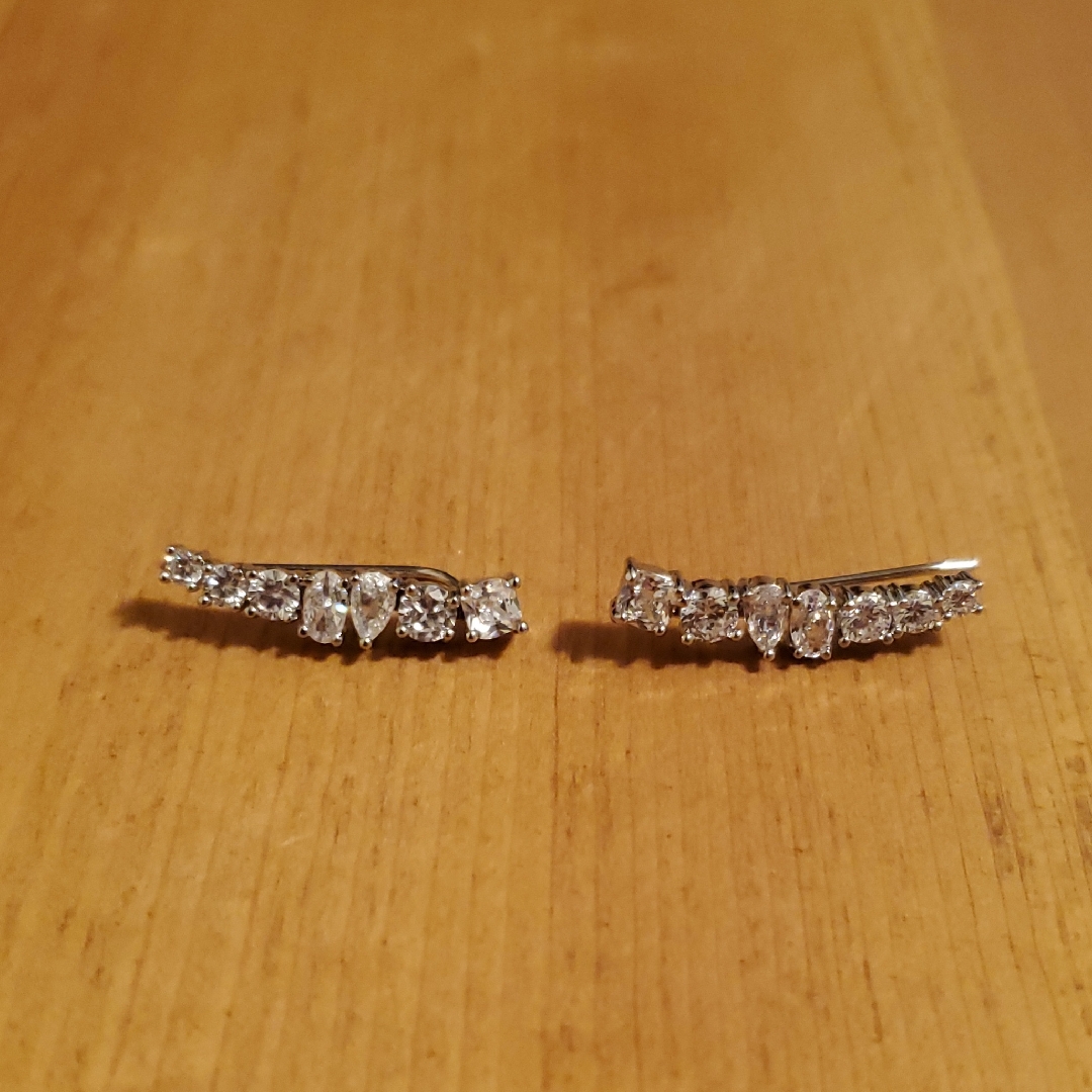 White Gold Plated Earrings